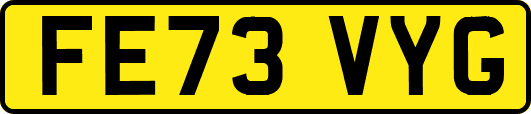 FE73VYG