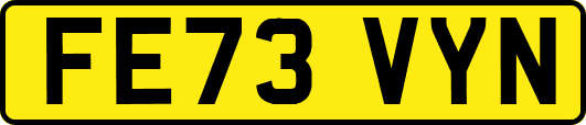FE73VYN