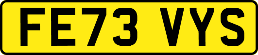 FE73VYS