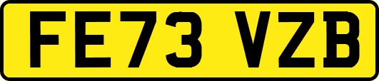 FE73VZB