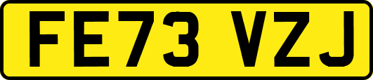 FE73VZJ