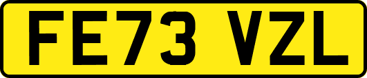 FE73VZL