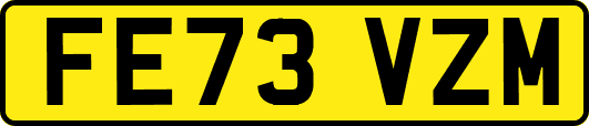 FE73VZM