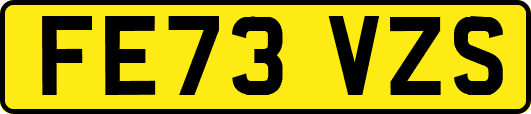 FE73VZS