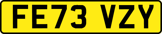 FE73VZY