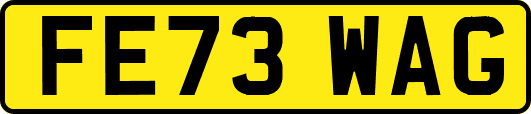 FE73WAG