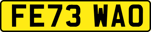 FE73WAO