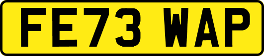 FE73WAP