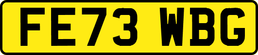 FE73WBG