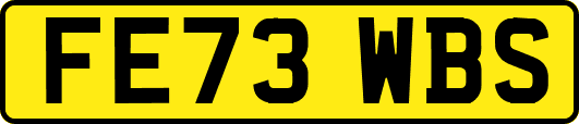 FE73WBS