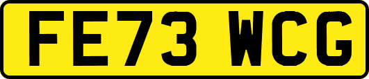 FE73WCG
