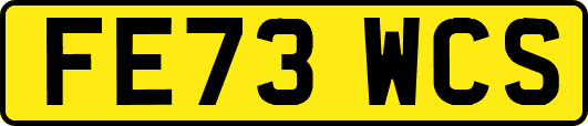 FE73WCS