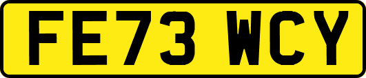 FE73WCY