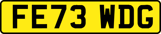 FE73WDG