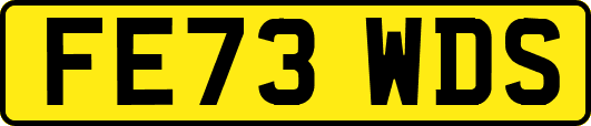 FE73WDS