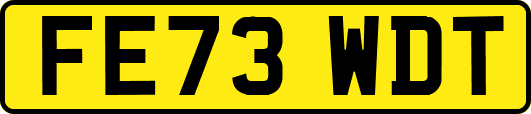 FE73WDT