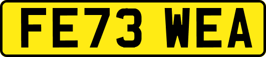 FE73WEA