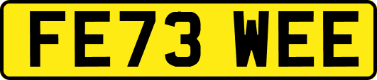 FE73WEE