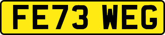 FE73WEG