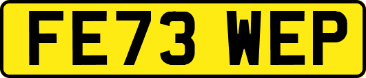 FE73WEP