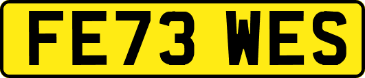 FE73WES