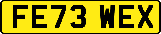 FE73WEX
