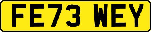 FE73WEY