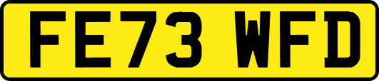 FE73WFD