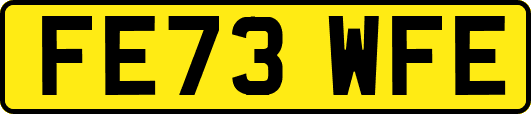 FE73WFE