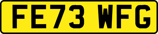 FE73WFG