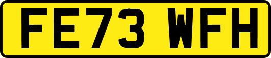 FE73WFH