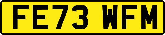 FE73WFM