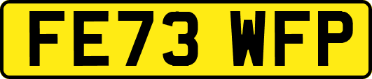 FE73WFP