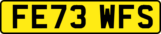 FE73WFS