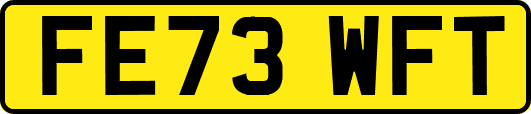 FE73WFT