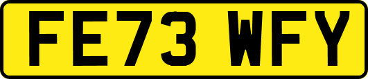 FE73WFY