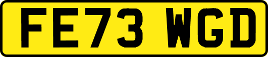 FE73WGD
