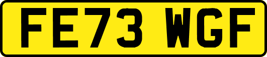 FE73WGF