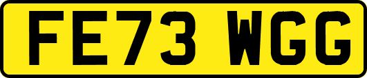 FE73WGG