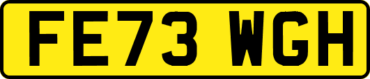 FE73WGH