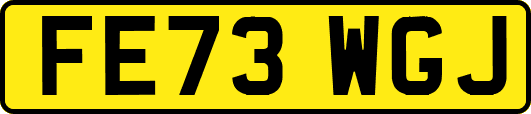 FE73WGJ