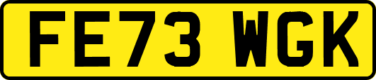 FE73WGK