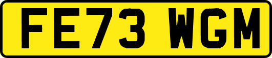 FE73WGM