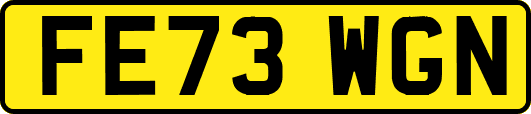 FE73WGN