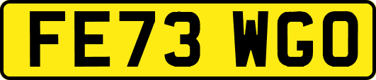 FE73WGO