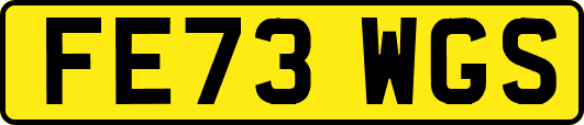 FE73WGS