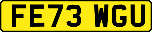 FE73WGU