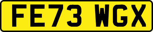 FE73WGX