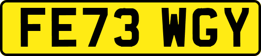 FE73WGY