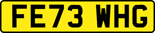 FE73WHG